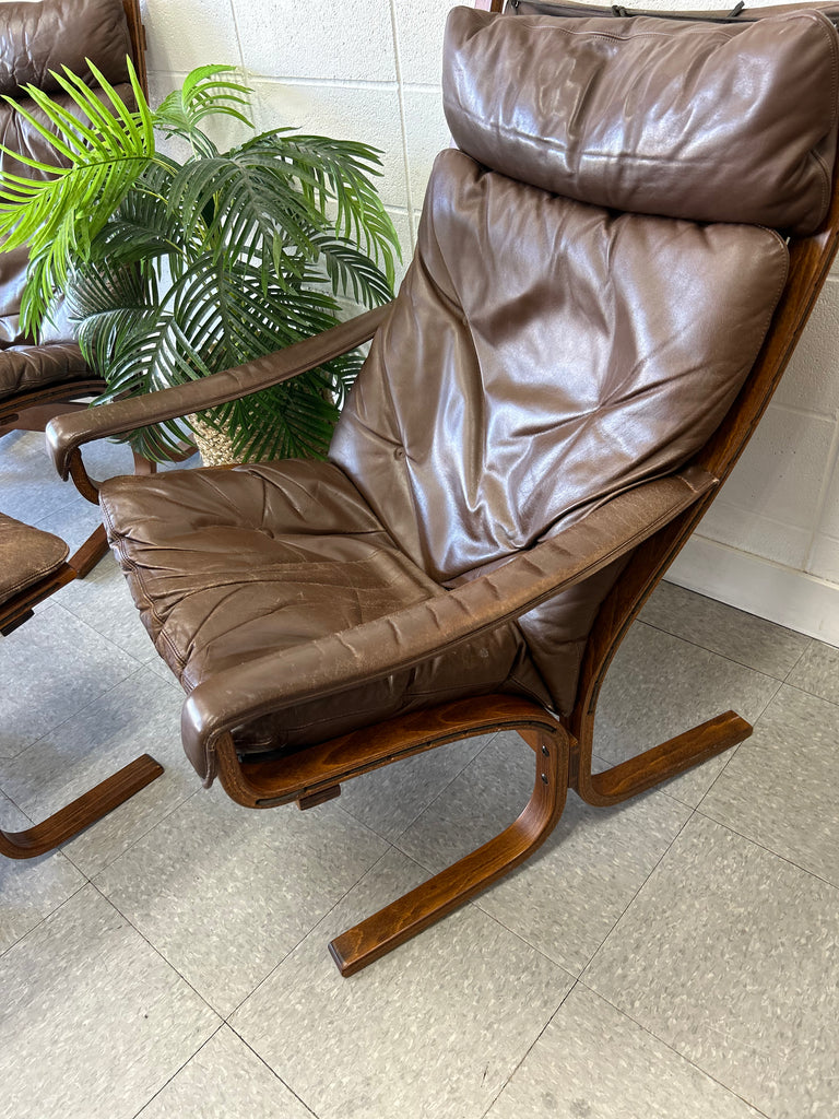 Bentwood leather set